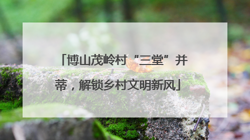 博山茂岭村“三堂”并蒂，解锁乡村文明新风