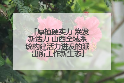 厚植硬实力 焕发新活力 山西全域系统构建活力迸发的派出所工作新生态
