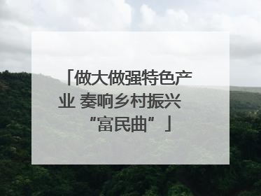 做大做强特色产业 奏响乡村振兴“富民曲”