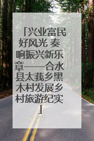 兴业富民好风光 奏响振兴新乐章——合水县太莪乡黑木村发展乡村旅游纪实