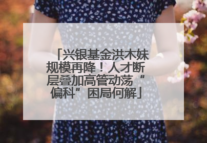 兴银基金洪木妹规模再降！人才断层叠加高管动荡“偏科”困局何解