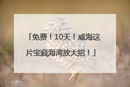 免费！10天！威海这片宝藏海湾放大招！