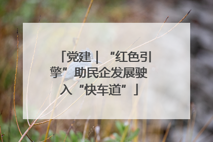 党建｜“红色引擎”助民企发展驶入“快车道”
