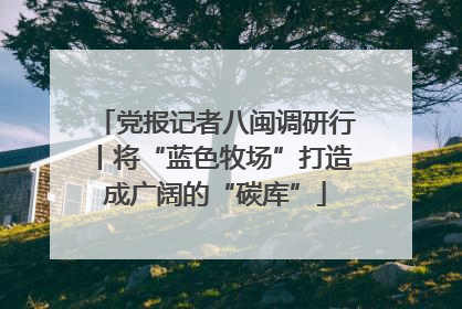 党报记者八闽调研行丨将“蓝色牧场”打造成广阔的“碳库”