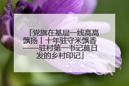 党旗在基层一线高高飘扬丨十年驻守米飘香——驻村第一书记莫日发的乡村印记