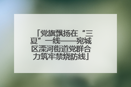 党旗飘扬在“三夏”一线——宛城区溧河街道党群合力筑牢禁烧防线