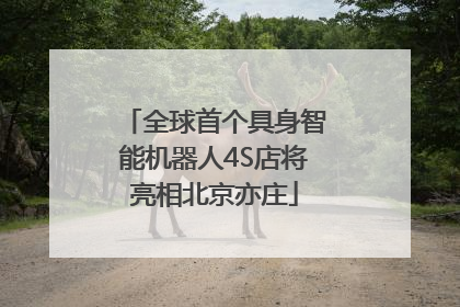 全球首个具身智能机器人4S店将亮相北京亦庄