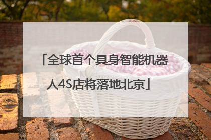 全球首个具身智能机器人4S店将落地北京