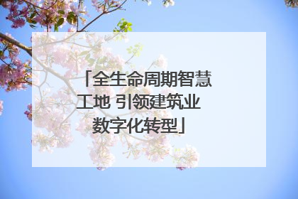 全生命周期智慧工地 引领建筑业数字化转型