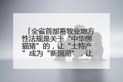 全省首部畜牧业地方性法规是关于“中华熊猫猪”的，让“土特产”成为“新国潮”，让“农产品”升格为“城市IP”
