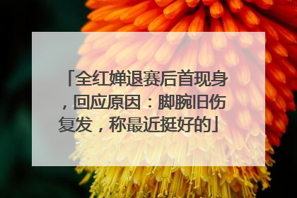 全红婵退赛后首现身，回应原因：脚腕旧伤复发，称最近挺好的