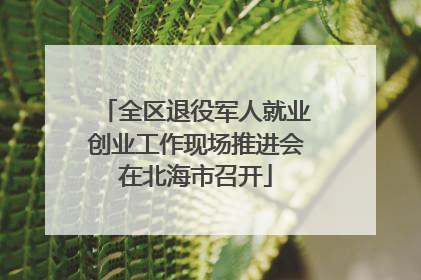 全区退役军人就业创业工作现场推进会在北海市召开