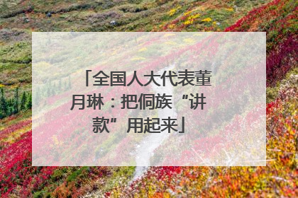 全国人大代表董月琳：把侗族“讲款”用起来