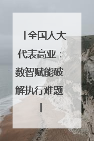 全国人大代表高亚：数智赋能破解执行难题