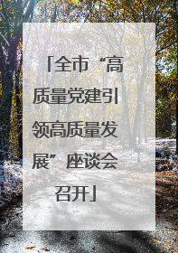 全市“高质量党建引领高质量发展”座谈会召开