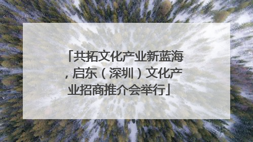 共拓文化产业新蓝海，启东（深圳）文化产业招商推介会举行