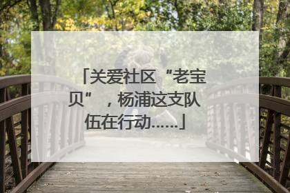 关爱社区“老宝贝”，杨浦这支队伍在行动……