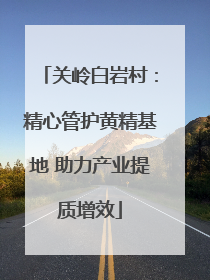 关岭白岩村：精心管护黄精基地 助力产业提质增效
