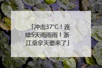 冲击37℃！连续5天雨雨雨！浙江桑拿天要来了