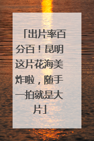 出片率百分百！昆明这片花海美炸啦，随手一拍就是大片
