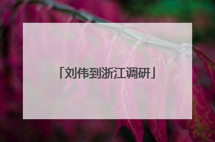 刘伟到浙江调研