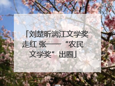 刘楚昕漓江文学奖走红 张一一“农民文学奖”出圈