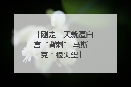 刚走一天就遭白宫“背刺” 马斯克：很失望