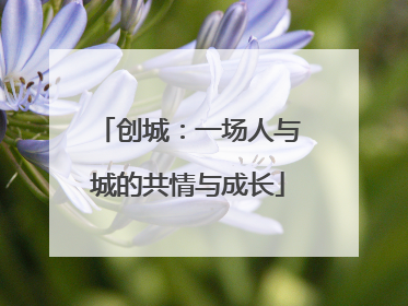 创城：一场人与城的共情与成长