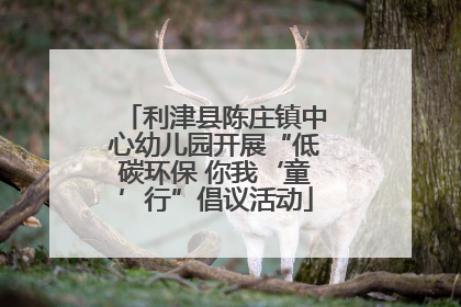 利津县陈庄镇中心幼儿园开展“低碳环保 你我‘童’行”倡议活动
