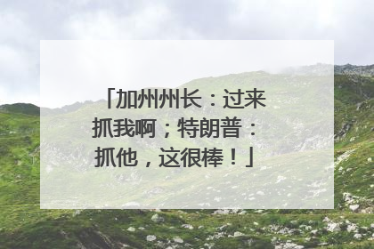 加州州长：过来抓我啊；特朗普：抓他，这很棒！