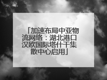 加速布局中亚物流网络：湖北港口汉欧国际塔什干集散中心启用