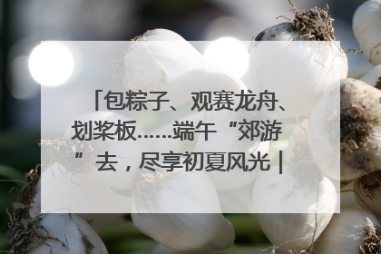 包粽子、观赛龙舟、划桨板……端午“郊游”去，尽享初夏风光｜端午氛围最浓时①