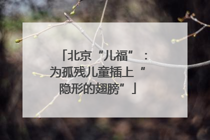 北京“儿福”：为孤残儿童插上“隐形的翅膀”