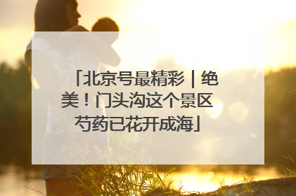 北京号最精彩｜绝美！门头沟这个景区芍药已花开成海