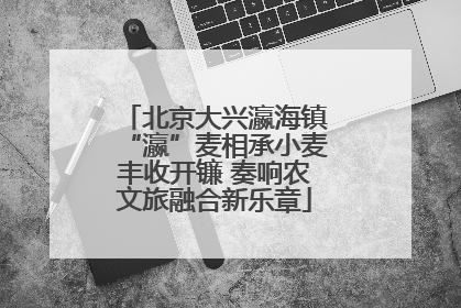 北京大兴瀛海镇“瀛”麦相承小麦丰收开镰 奏响农文旅融合新乐章
