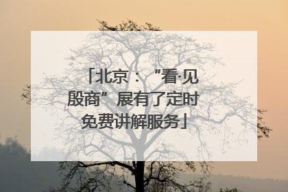 北京：“看·见殷商”展有了定时免费讲解服务