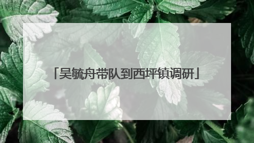 吴毓舟带队到西坪镇调研