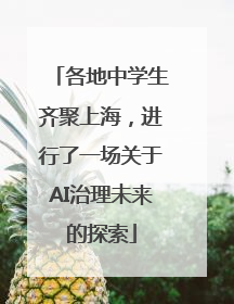 各地中学生齐聚上海，进行了一场关于AI治理未来的探索