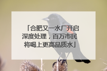 合肥又一水厂开启深度处理，百万市民将喝上更高品质水