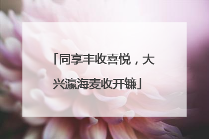 同享丰收喜悦，大兴瀛海麦收开镰