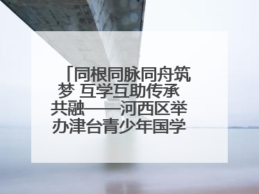 同根同脉同舟筑梦 互学互助传承共融——河西区举办津台青少年国学交流活动