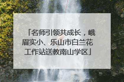 名师引领共成长，峨眉实小、乐山市白兰花工作站送教南山学区