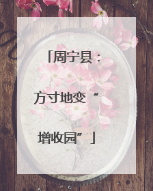 周宁县：方寸地变“增收园”