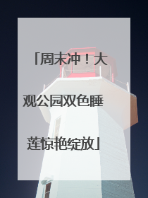 周末冲！大观公园双色睡莲惊艳绽放