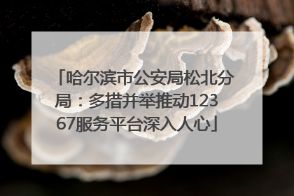 哈尔滨市公安局松北分局：多措并举推动12367服务平台深入人心
