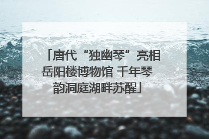 唐代“独幽琴”亮相岳阳楼博物馆 千年琴韵洞庭湖畔苏醒