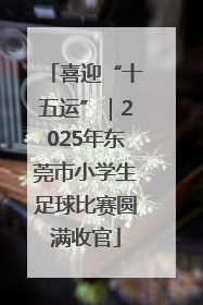 喜迎“十五运”｜2025年东莞市小学生足球比赛圆满收官