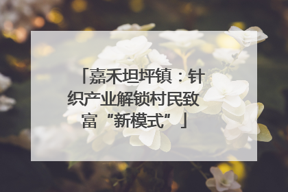 嘉禾坦坪镇：针织产业解锁村民致富“新模式”