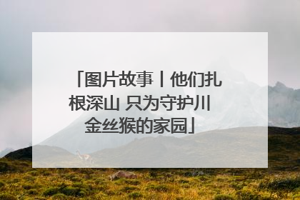图片故事丨他们扎根深山 只为守护川金丝猴的家园