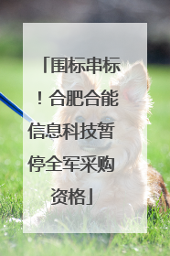 围标串标！合肥合能信息科技暂停全军采购资格